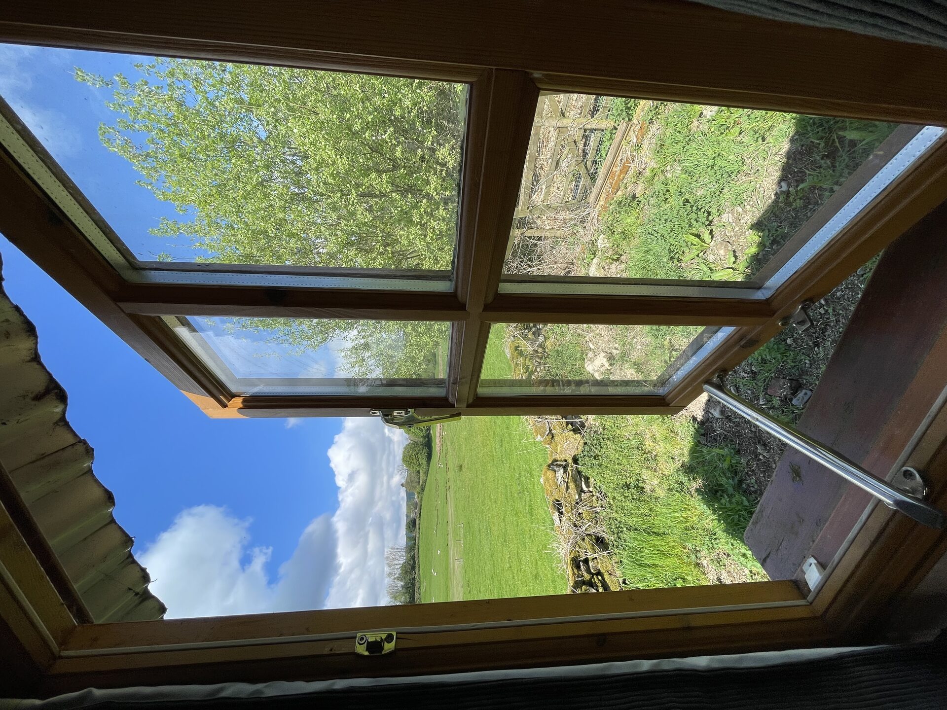 Lakeland meadow view through the hut window with sheep grazing